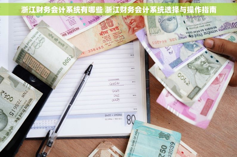 浙江财务会计系统有哪些 浙江财务会计系统选择与操作指南