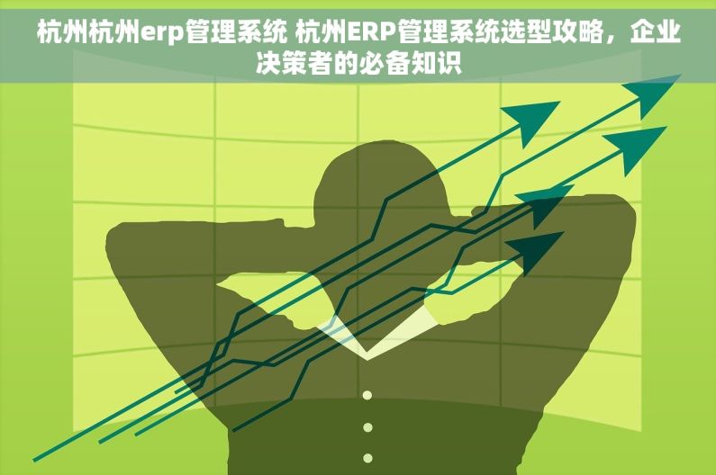 杭州杭州erp管理系统 杭州ERP管理系统选型攻略，企业决策者的必备知识