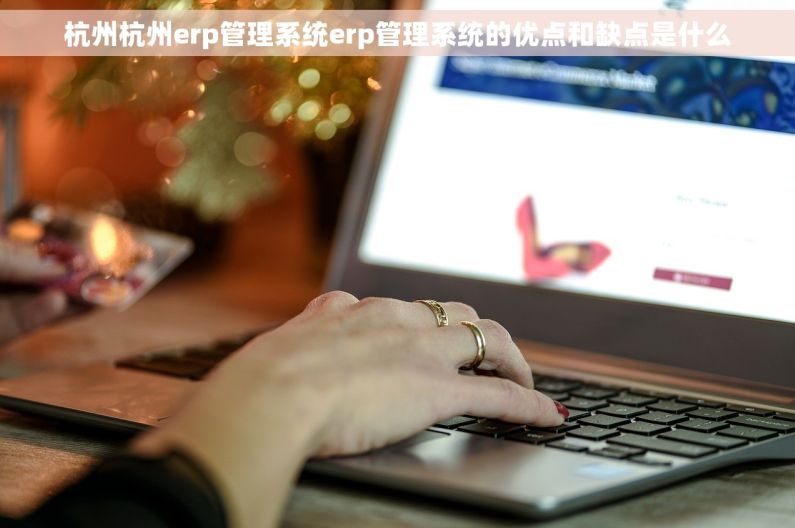 杭州杭州erp管理系统erp管理系统的优点和缺点是什么