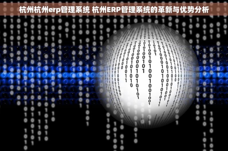 杭州杭州erp管理系统 杭州ERP管理系统的革新与优势分析