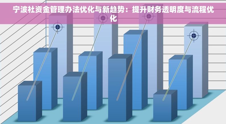 宁波社资金管理办法优化与新趋势：提升财务透明度与流程优化