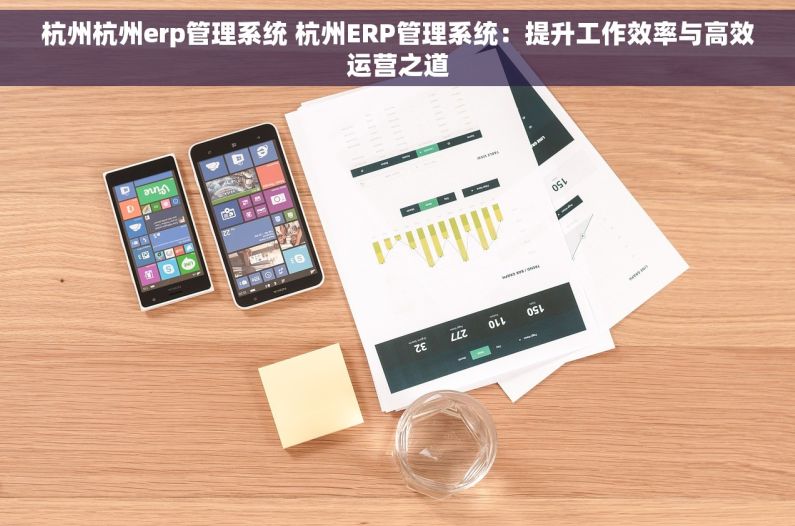 杭州杭州erp管理系统 杭州ERP管理系统：提升工作效率与高效运营之道