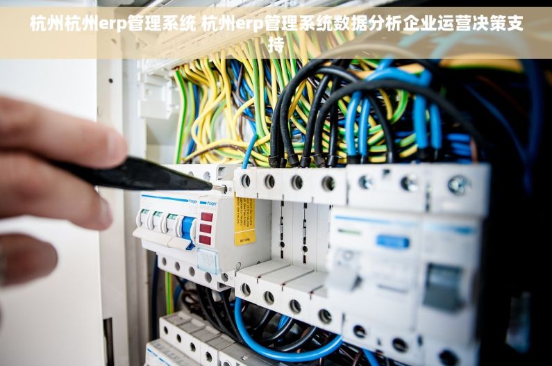 杭州杭州erp管理系统 杭州erp管理系统数据分析企业运营决策支持