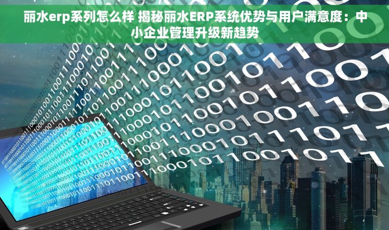 丽水erp系列怎么样 揭秘丽水ERP系统优势与用户满意度：中小企业管理升级新趋势