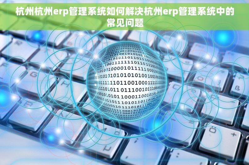 杭州杭州erp管理系统如何解决杭州erp管理系统中的常见问题