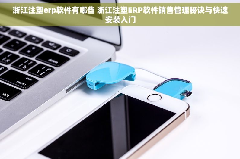 浙江注塑erp软件有哪些 浙江注塑ERP软件销售管理秘诀与快速安装入门