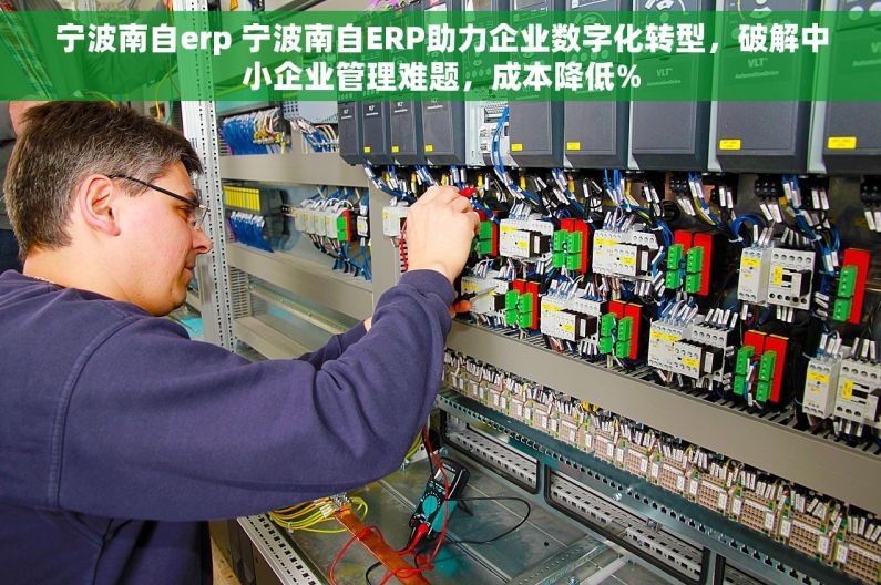 宁波南自erp 宁波南自ERP助力企业数字化转型，破解中小企业管理难题，成本降低%