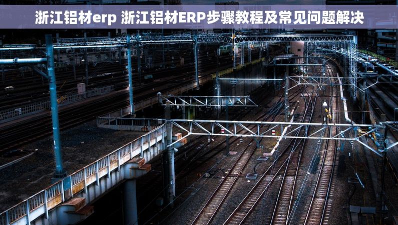 浙江铝材erp 浙江铝材ERP步骤教程及常见问题解决