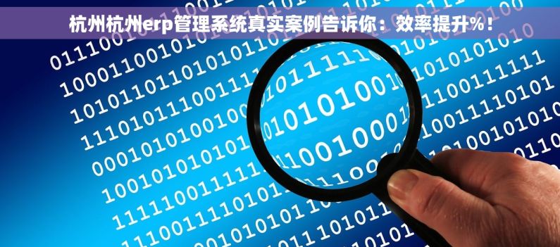 杭州杭州erp管理系统真实案例告诉你：效率提升%！