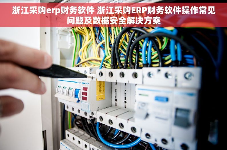 浙江采购erp财务软件 浙江采购ERP财务软件操作常见问题及数据安全解决方案