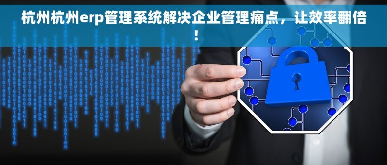 杭州杭州erp管理系统解决企业管理痛点，让效率翻倍！
