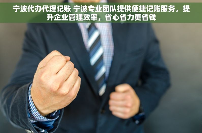 宁波代办代理记账 宁波专业团队提供便捷记账服务，提升企业管理效率，省心省力更省钱