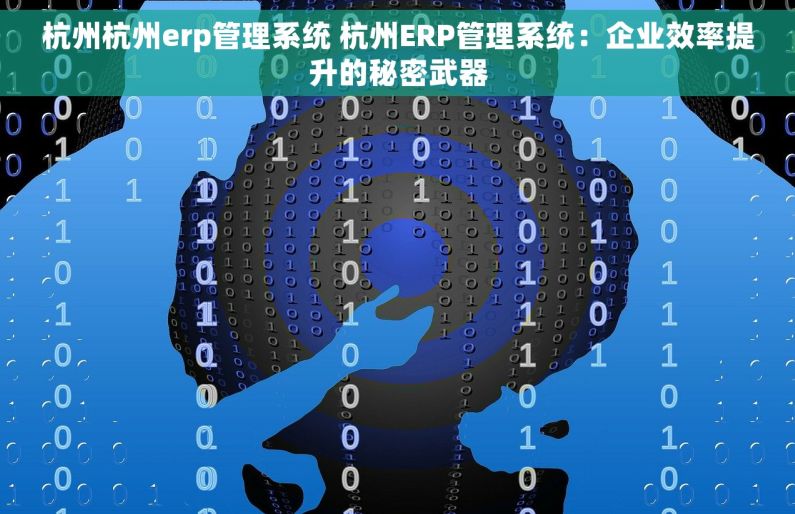 杭州杭州erp管理系统 杭州ERP管理系统：企业效率提升的秘密武器