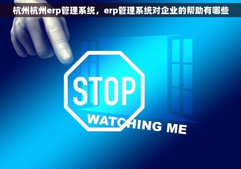 杭州杭州erp管理系统，erp管理系统对企业的帮助有哪些