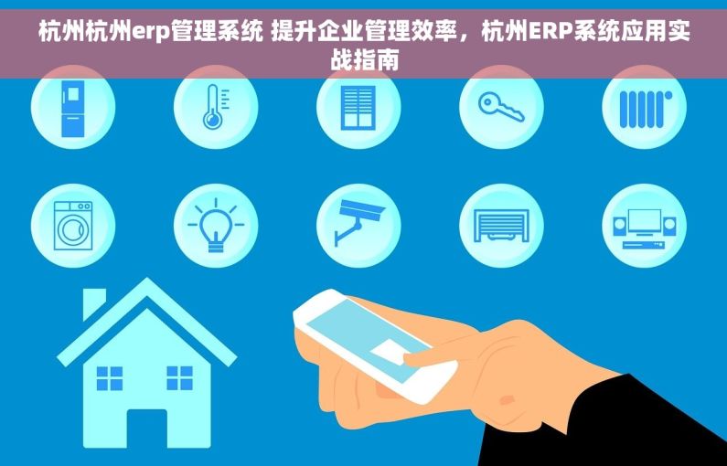 杭州杭州erp管理系统 提升企业管理效率，杭州ERP系统应用实战指南