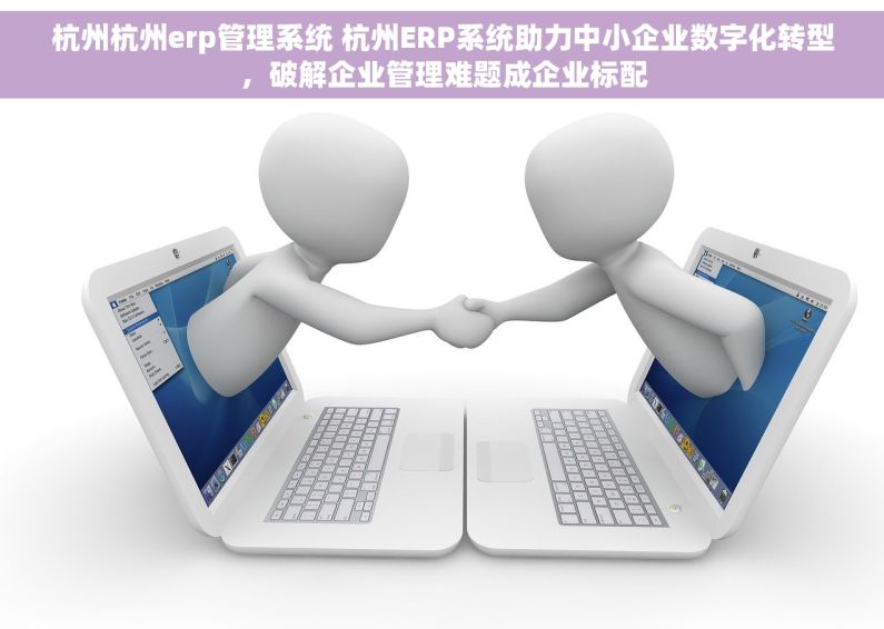 杭州杭州erp管理系统 杭州ERP系统助力中小企业数字化转型，破解企业管理难题成企业标配