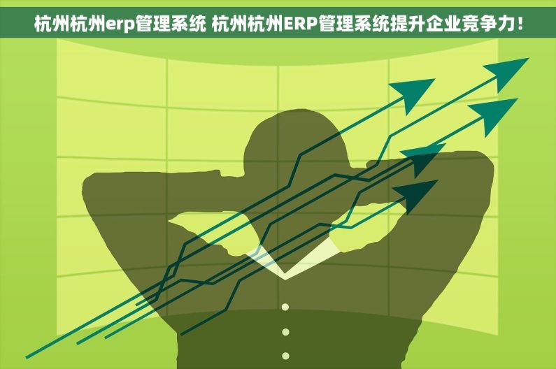 杭州杭州erp管理系统 杭州杭州ERP管理系统提升企业竞争力！