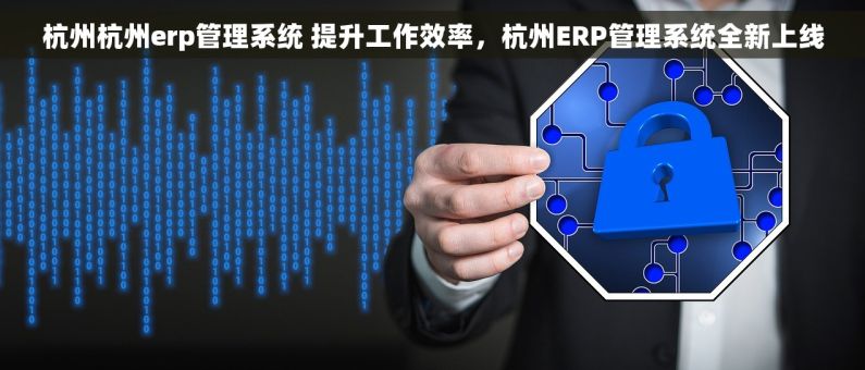 杭州杭州erp管理系统 提升工作效率，杭州ERP管理系统全新上线