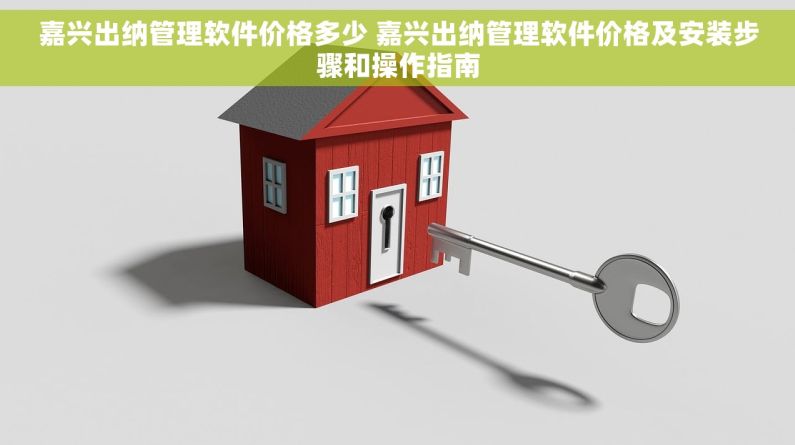 嘉兴出纳管理软件价格多少 嘉兴出纳管理软件价格及安装步骤和操作指南