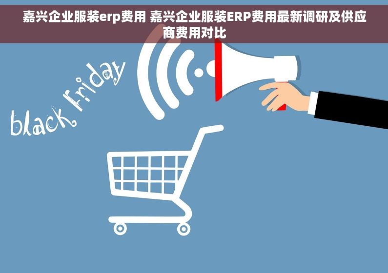 嘉兴企业服装erp费用 嘉兴企业服装ERP费用最新调研及供应商费用对比