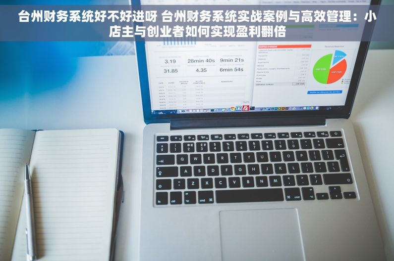 台州财务系统好不好进呀 台州财务系统实战案例与高效管理：小店主与创业者如何实现盈利翻倍