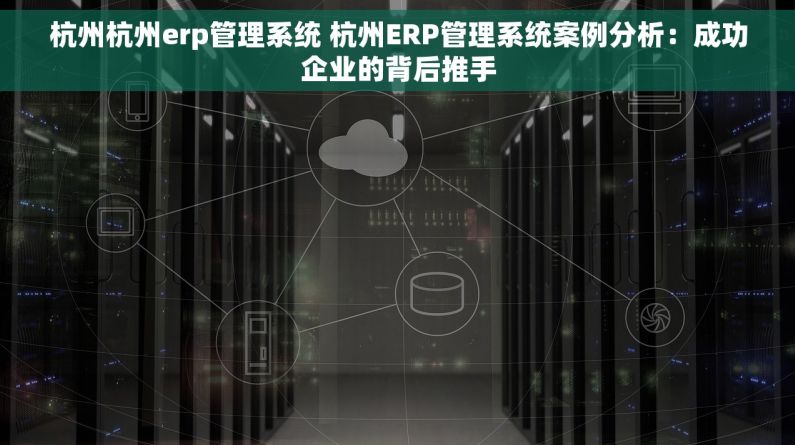 杭州杭州erp管理系统 杭州ERP管理系统案例分析：成功企业的背后推手