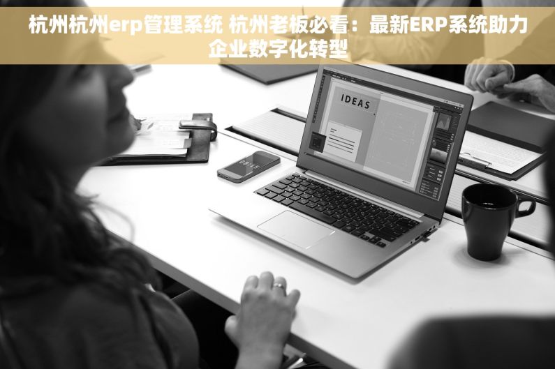 杭州杭州erp管理系统 杭州老板必看：最新ERP系统助力企业数字化转型