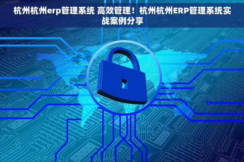 杭州杭州erp管理系统 高效管理！杭州杭州ERP管理系统实战案例分享