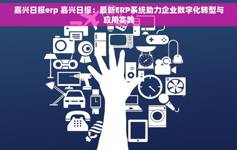 嘉兴日报erp 嘉兴日报：最新ERP系统助力企业数字化转型与应用实践