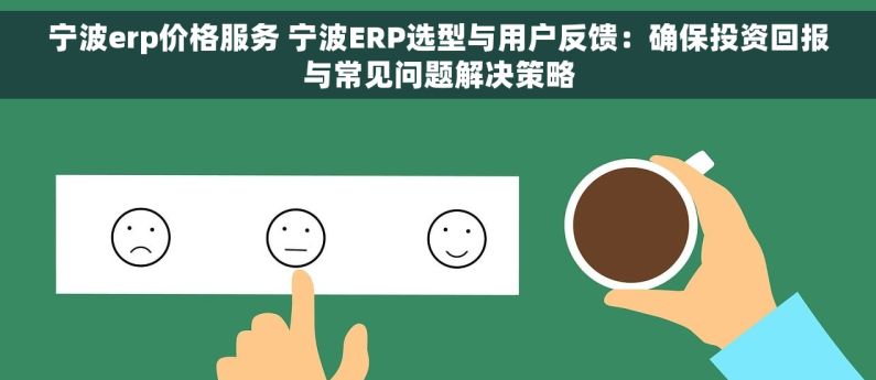 宁波erp价格服务 宁波ERP选型与用户反馈：确保投资回报与常见问题解决策略