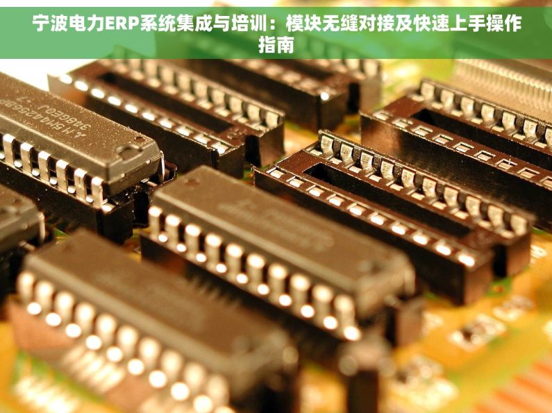 宁波电力ERP系统集成与培训：模块无缝对接及快速上手操作指南