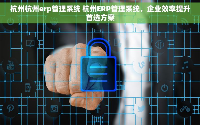杭州杭州erp管理系统 杭州ERP管理系统，企业效率提升首选方案