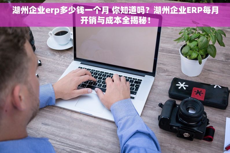 湖州企业erp多少钱一个月 你知道吗？湖州企业ERP每月开销与成本全揭秘！