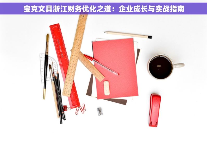 宝克文具浙江财务优化之道：企业成长与实战指南