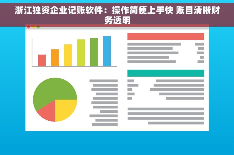 浙江独资企业记账软件：操作简便上手快 账目清晰财务透明