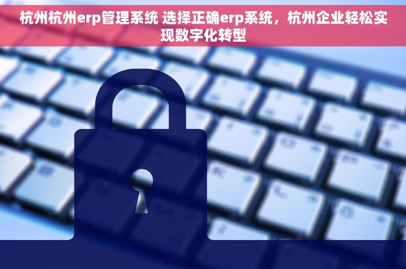 杭州杭州erp管理系统 选择正确erp系统，杭州企业轻松实现数字化转型