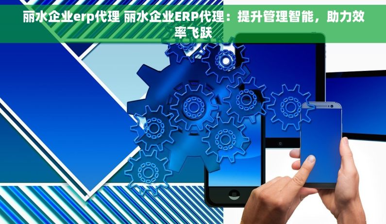 丽水企业erp代理 丽水企业ERP代理：提升管理智能，助力效率飞跃