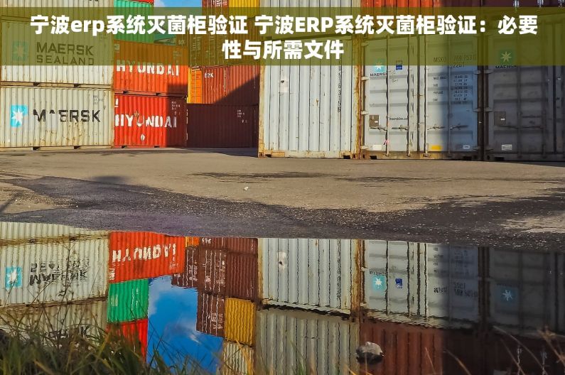 宁波erp系统灭菌柜验证 宁波ERP系统灭菌柜验证：必要性与所需文件