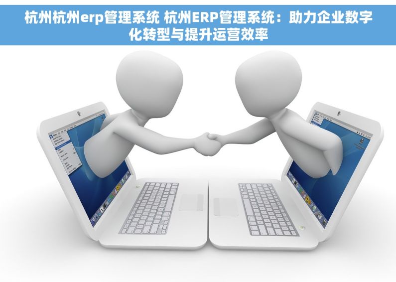 杭州杭州erp管理系统 杭州ERP管理系统：助力企业数字化转型与提升运营效率