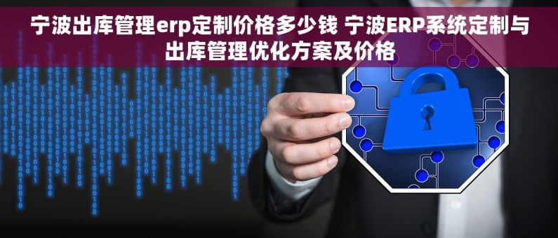 宁波出库管理erp定制价格多少钱 宁波ERP系统定制与出库管理优化方案及价格