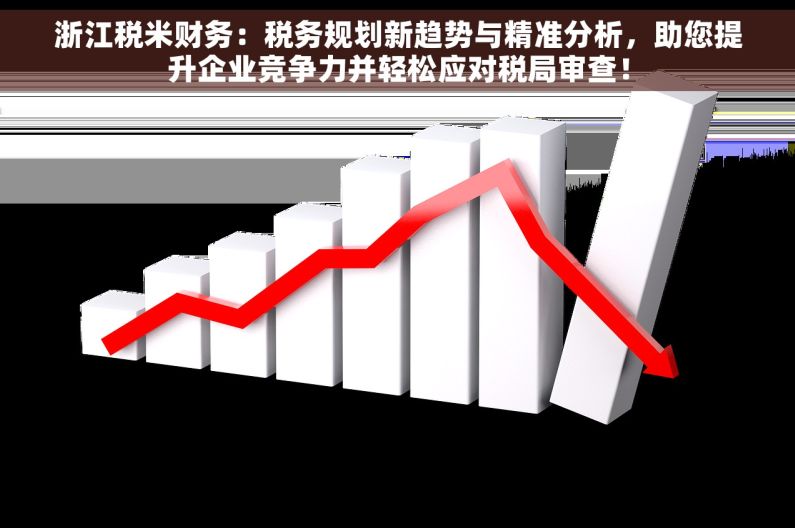 浙江税米财务：税务规划新趋势与精准分析，助您提升企业竞争力并轻松应对税局审查！