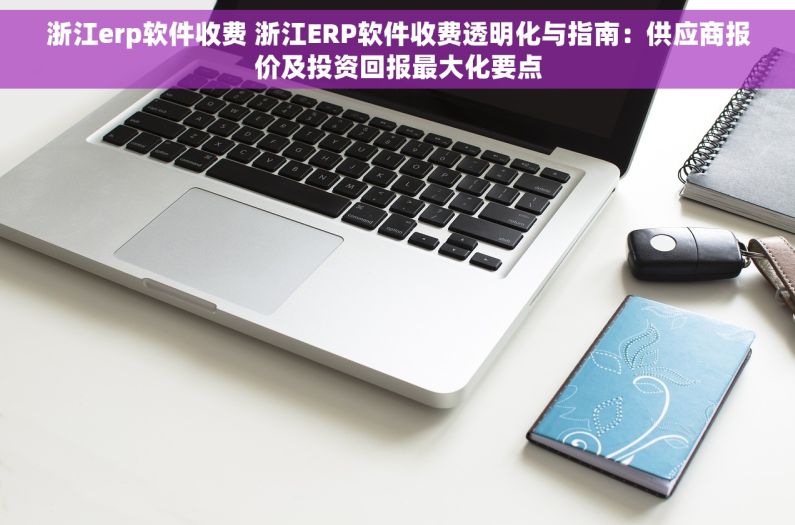 浙江erp软件收费 浙江ERP软件收费透明化与指南：供应商报价及投资回报最大化要点