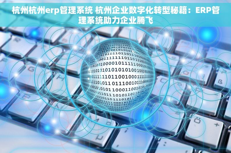 杭州杭州erp管理系统 杭州企业数字化转型秘籍：ERP管理系统助力企业腾飞
