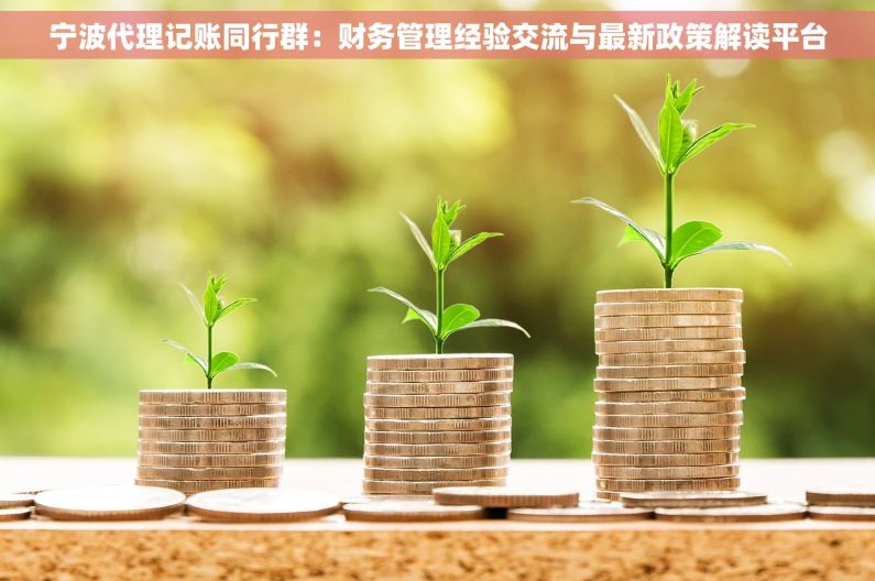 宁波代理记账同行群：财务管理经验交流与最新政策解读平台