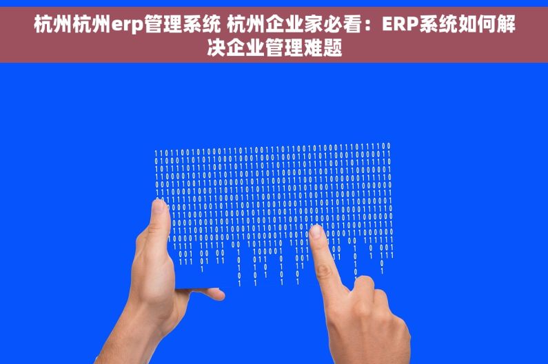 杭州杭州erp管理系统 杭州企业家必看：ERP系统如何解决企业管理难题