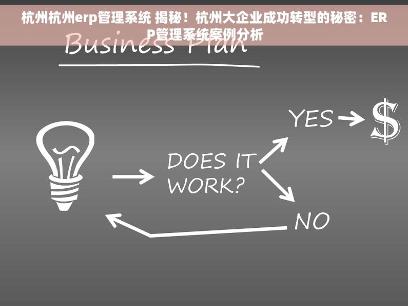 杭州杭州erp管理系统 揭秘！杭州大企业成功转型的秘密：ERP管理系统案例分析