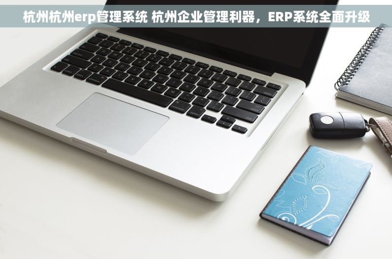 杭州杭州erp管理系统 杭州企业管理利器，ERP系统全面升级