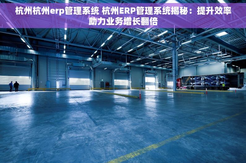 杭州杭州erp管理系统 杭州ERP管理系统揭秘：提升效率助力业务增长翻倍