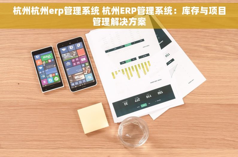 杭州杭州erp管理系统 杭州ERP管理系统：库存与项目管理解决方案