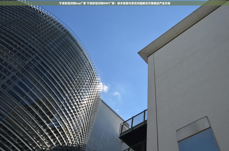 宁波软包印刷erp厂家 宁波软包印刷ERP厂家：技术革新与常见问题解决方案推动产业升级